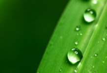 기미의 원인과 예방 및 관리 방법