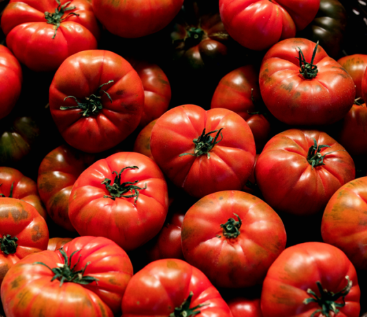 토마토의 효능과 효과적인 섭취 방법