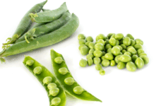 관절건강에 도움이 되는 뼈에 좋은 음식