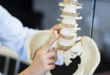 골다공증에 좋은 음식, 식단 관리