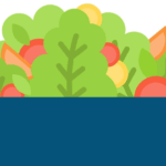 봄동 효능 5가지와 제철시기, 보관방법